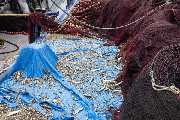 漁師が網を掃除し地面に広がった後 — ストック写真