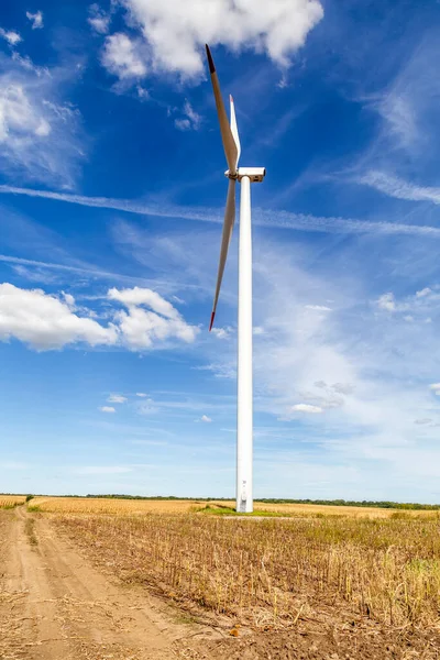 Elektrizitätstechnikkonzept Innovative Nachhaltige Ressourcentechnologie Grüne Erneuerbare Energien — Stockfoto