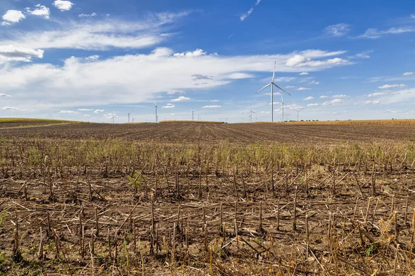 Campo Con Parco Eolico Mramorak Banat Serbia Concetto Tecnologia Elettrica — Foto Stock