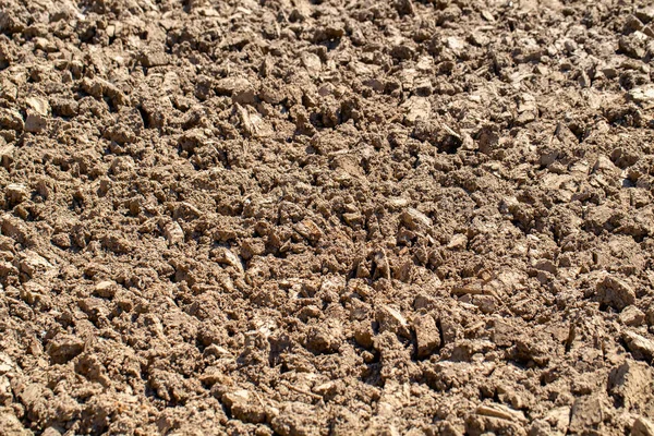 Soil Background Preparing Planting Spring Selective Focus Agriculture Tough Work — Stock Photo, Image