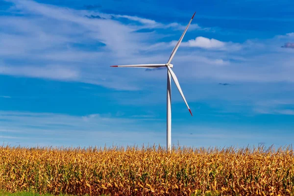 Windkraftanlage Auf Dem Land Bei Mramorak Banat Serbien Elektrizitätstechnikkonzept Innovative — Stockfoto