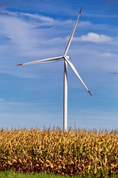 セルビアのバナト州ムラモラクにあるトウモロコシ畑の風力タービン農場 電気技術の概念 革新的な持続可能な資源技術 グリーン再生可能エネルギー — ストック写真
