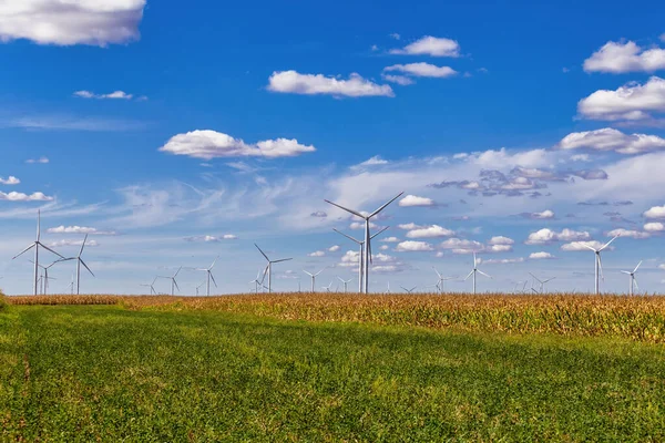 Windkraftanlage Auf Einem Feld Mramorak Banat Serbien Elektrizitätstechnikkonzept Innovative Nachhaltige — Stockfoto