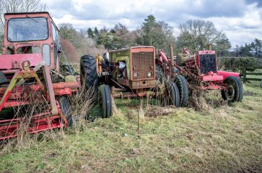 Bir tarlada ihmal edilmiş 3 eski traktör var.