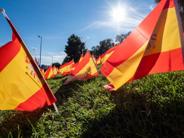 CORONAVIRUS 'UN KURUMLARININ BİR PARKA 53000 SPANISH FLAG EDİLDİ