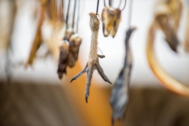 Hayvanların pençeleri ve dişlerinden sihirli tılsımlar fuarda standda bağcıklara asıldı.