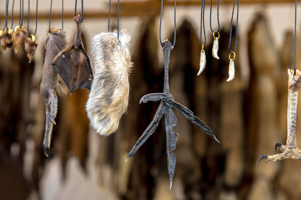 Magic amulets from paws and teeth of animals hang on laces on the stand at the fair.