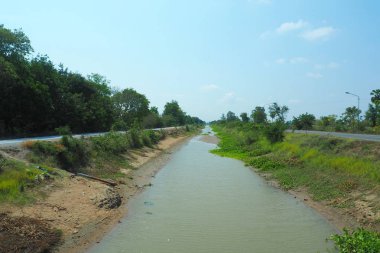 Nisan 2019 Nong ya Sai Bölgesi Suphanburi Ili su azaltma sırasında su kanalı