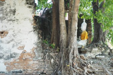 Mart 2019 eski Tapınak, Phra Loob Tapınağı, Suphan Buri, Tayland