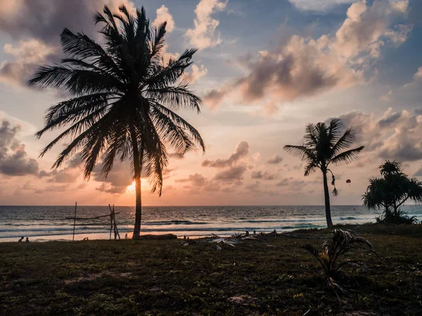 Palm Trees Beach Sunset — Stock Photo, Image