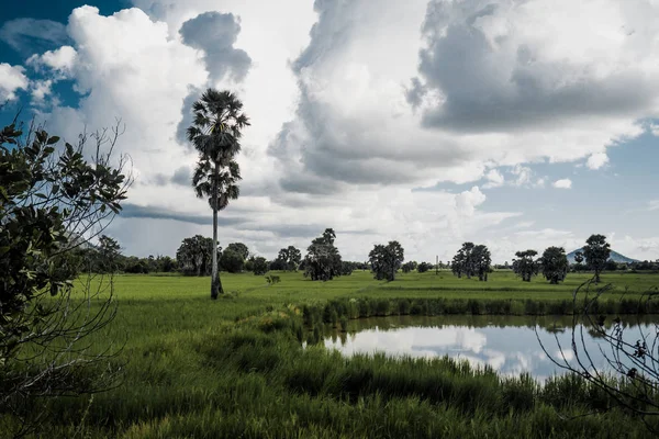 Nubes sobre bosque tropical cubierto y paisaje de lago en palmera —  Fotos de Stock