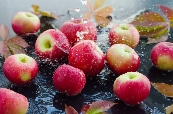Manzanas Rojas Con Gotas Agua Sobre Fondo Húmedo Oscuro Concepto — Foto de Stock