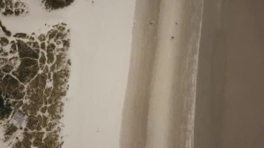 Aerial drone footage of sand beach and dunes with a very few people walking. Bird's eye view