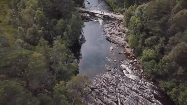 Luftaufnahme eines riesigen Waldes, der von einem Fluss abgeschnitten ist. grüne schottische Landschaft, Hochland — Stockvideo