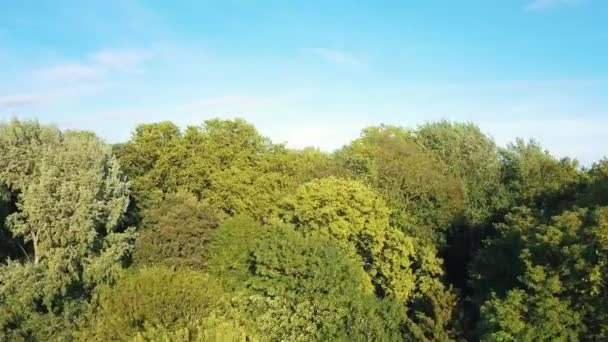 Veduta aerea della città di Lilla dal parco verde della cittadella — Video Stock