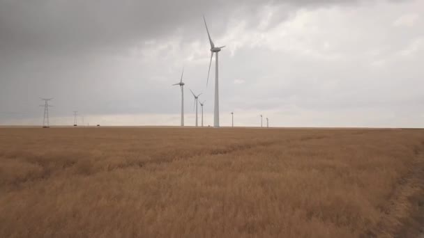 Aerial View of wind turbines in countryside. Electric pylons in the fields — ストック動画