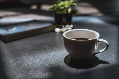 tencerede küçük yeşil bitki ile koyu masa yüzeyinde kahve beyaz fincan  