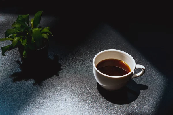 Weiße Tasse Kaffee Auf Dunkler Tischfläche Mit Kleiner Grüner Pflanze — Stockfoto