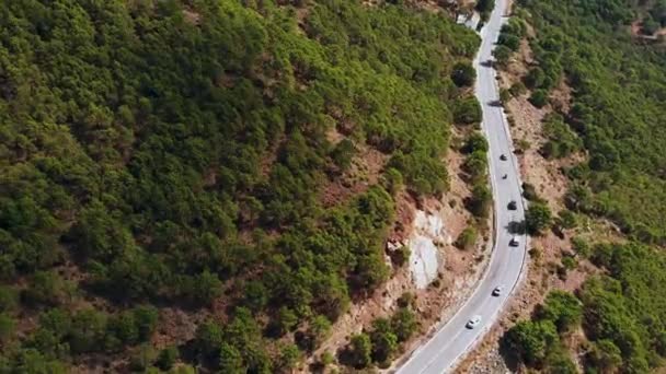 Luftaufnahme Eines Autos Das Auf Einer Landstraße Wald Fährt Filmdrohne — Stockvideo