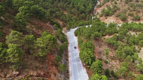 Εναέρια Άποψη Του Αυτοκινήτου Οδηγώντας Επαρχιακό Δρόμο Στο Δάσος Κινηματογραφική — Αρχείο Βίντεο