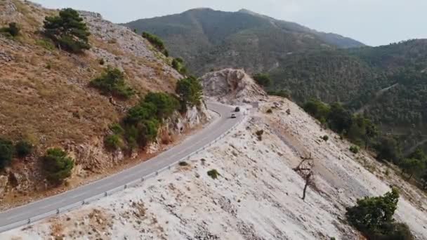 Flygfoto Över Bil Körning Landsväg Skogen Filmiska Drone Sköt Flyger — Stockvideo