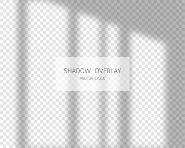 Shadow overlay effect. Natural shadows from window isolated on transparent background. Vector illustration.  clipart