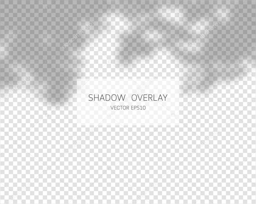 Shadow overlay effect. Natural shadows isolated on transparent background. Vector illustration. 