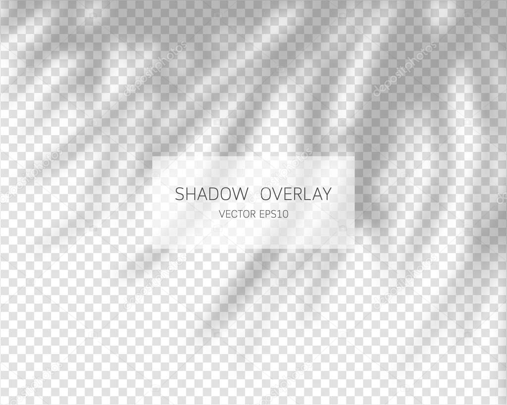 Shadow overlay effect. Natural shadows isolated on transparent background. Vector illustration. 