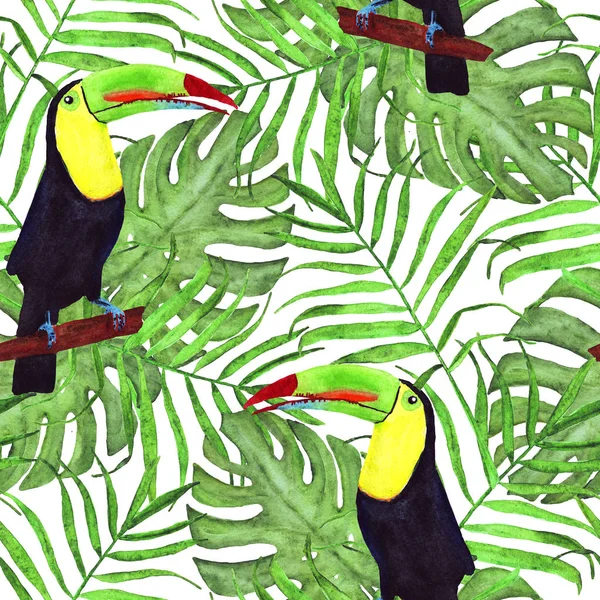 Illustrazione acquerello senza soluzione di continuità di uccelli tucani. Foglie tropicali, fitta giungla. Fantasia con motivo tropicale estivo. foglie di palma. foglie di monstera — Foto Stock