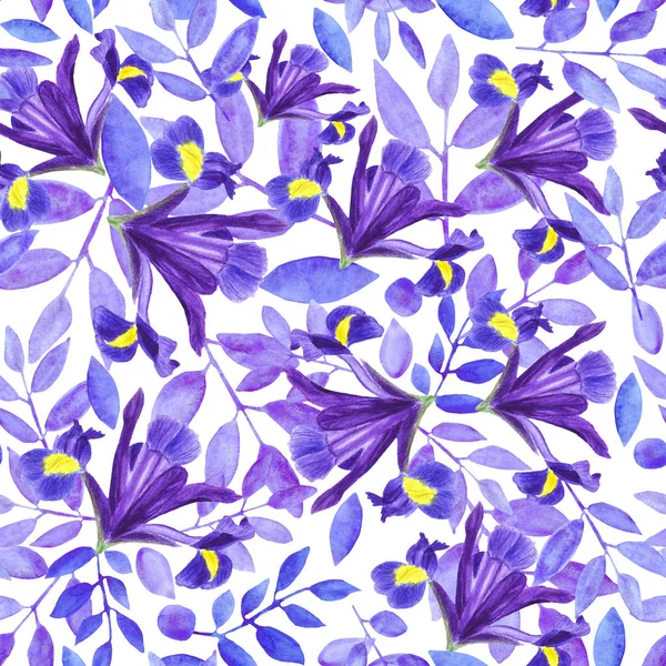 Watercolor bouquet of irises, hand drawn floral illustration, blue flowers and leaves on white background — Stock Photo, Image