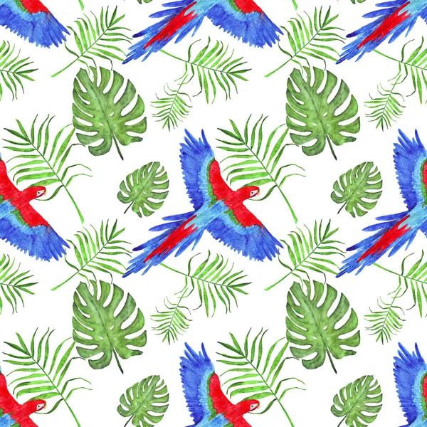 Acquerello modello tropicale pappagallo macaw foglie monstera e palma — Foto Stock
