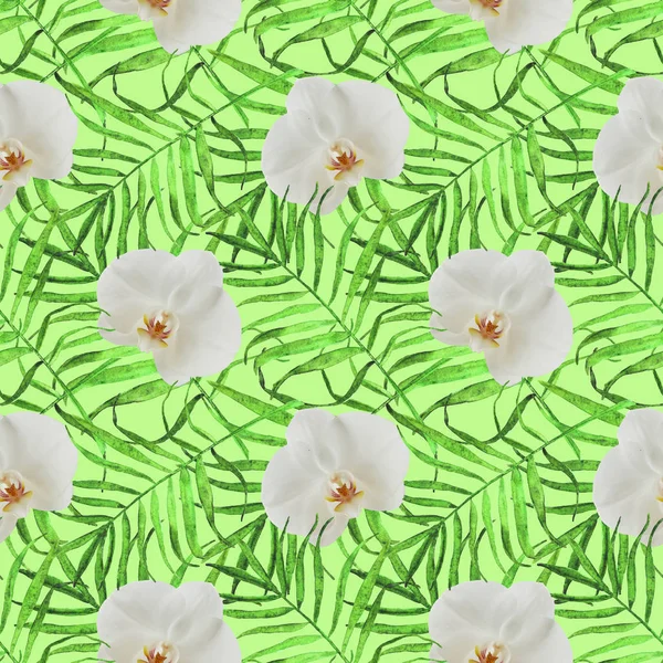 Leaves palm trees with orchid seamless pattern green — Stock Photo, Image