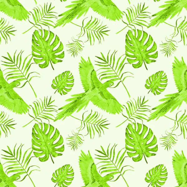Modello tropicale foglie di pappagallo monstera e palma verde — Foto Stock