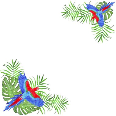 suluboya çerçeve tropikal papağan macaw palmiye yaprakları ve monstera kuş