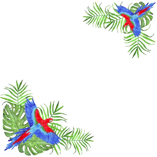 Cadre aquarelle perroquet tropical feuilles de palmier aras et oiseau monstère — Photo