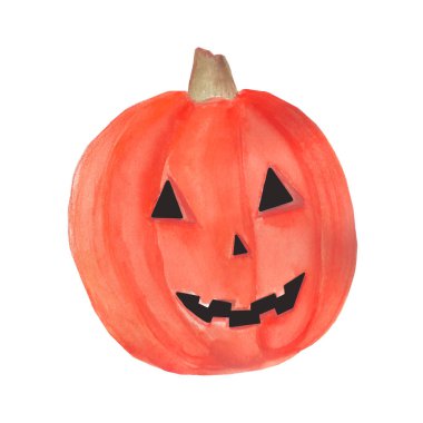 Balkabağım. Beyaz arka planda suluboya resim. Sonbahar hasadı. Vejetaryen çiğ yemek.