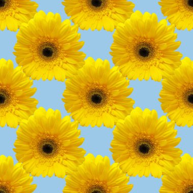 sarı gerbera fotoğrafından sorunsuz desen kolaj. düzenli tekrar çiçekler arka plan.