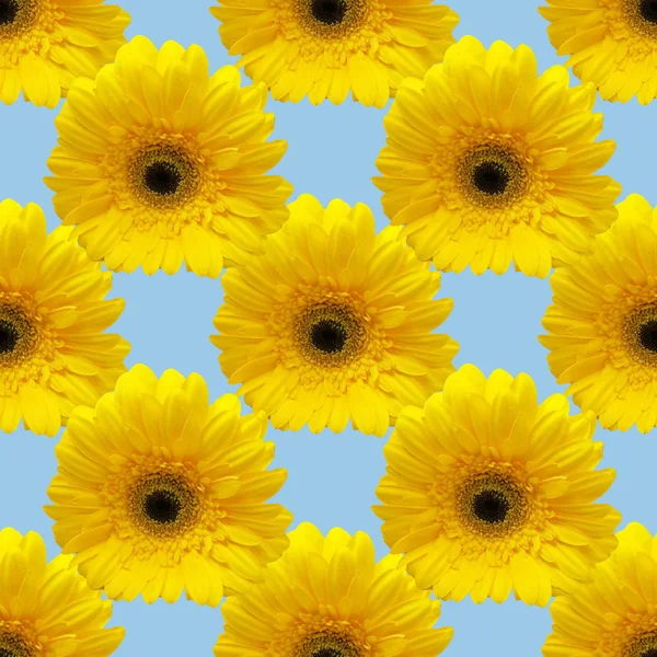 Seamless pattern collage from photo of yellow gerbera. regular repeat flowers background. — Stock Photo, Image