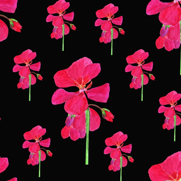Acuarela patrón sin costura de geranio rojo. flores flor de verano. , fondo floral — Foto de Stock