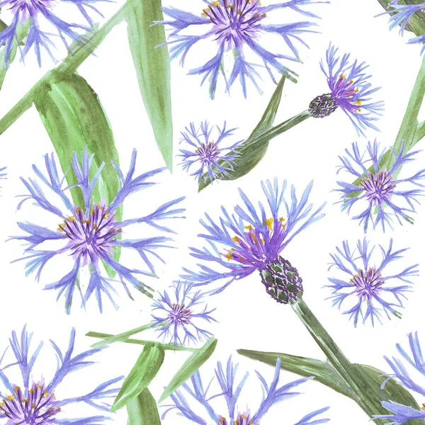 Acuarela flor aciano azul patrón sin costuras en blanco — Foto de Stock