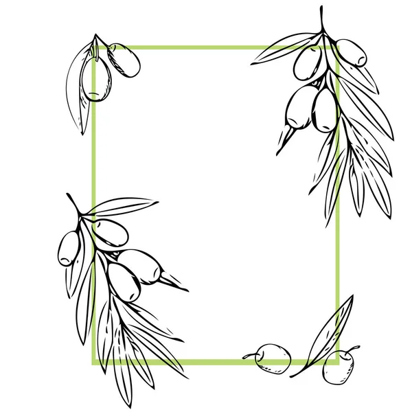 Modello di cornice quadrata disegnata a mano con olive e foglie — Foto Stock