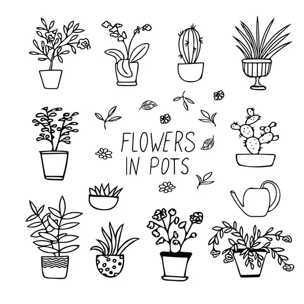 Pflanzen und Blumen in Töpfen Set von Elementen in handgezeichneten Stil. einfache Liner Doodle skandinavischen. — Stockvektor