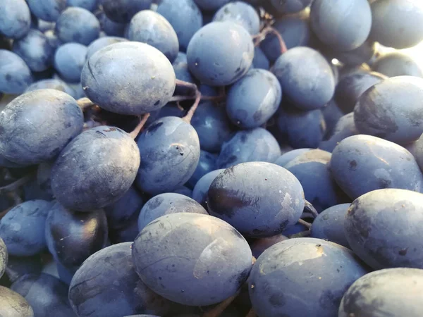 Σταφύλια μπλε βιολετί φόντο. Γλυκά νόστιμα φρούτα. — Φωτογραφία Αρχείου