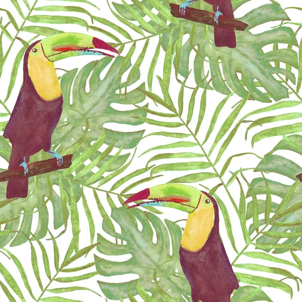 Illustrazione acquerello senza soluzione di continuità di uccelli tucani. Foglie tropicali, fitta giungla. Fantasia con motivo tropicale estivo. foglie di palma. foglie di monstera — Foto Stock
