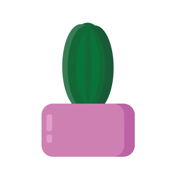 cactus plant in pot. single element in flat style. indoor design of cards, icon, sticker, posters