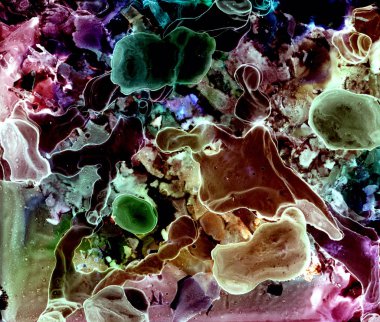 Alkol mürekkemi, akrilik, suluboya renkli soyut arka plan