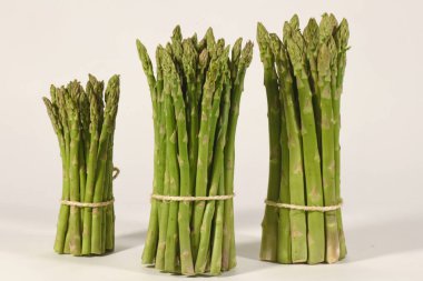 yeşil kuşkonus stüdyo görüntüleri