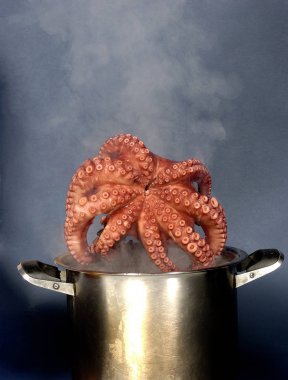 pişmiş ahtapot yakın çekim görüntü