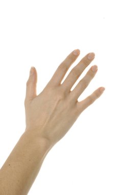 bir elin farklı pozisyonları beyaz arka plan üzerinde görüntü