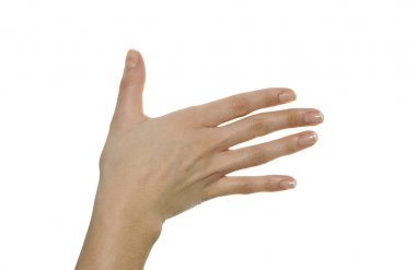 bir elin farklı pozisyonları beyaz arka plan üzerinde görüntü